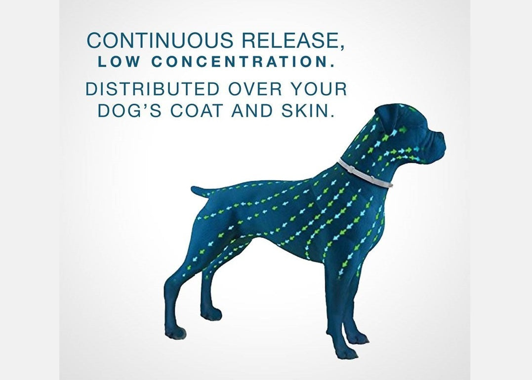 SERESTO BAYER LARGE DOG ABOVE 18LB FLEA & TICK COLLAR 8 MONTH PROTECTION PACK OF 2-5