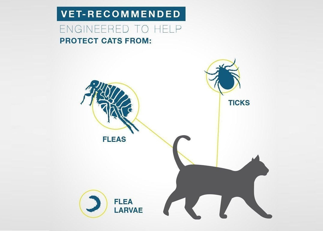 SERESTO ELANCO CAT KITTENS FLEA & TICK COLLAR 8 MONTH PROTECTION-5