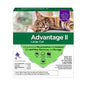 Advantage II Large Cat Flea Treatment Over 9 lbs 4 Doses