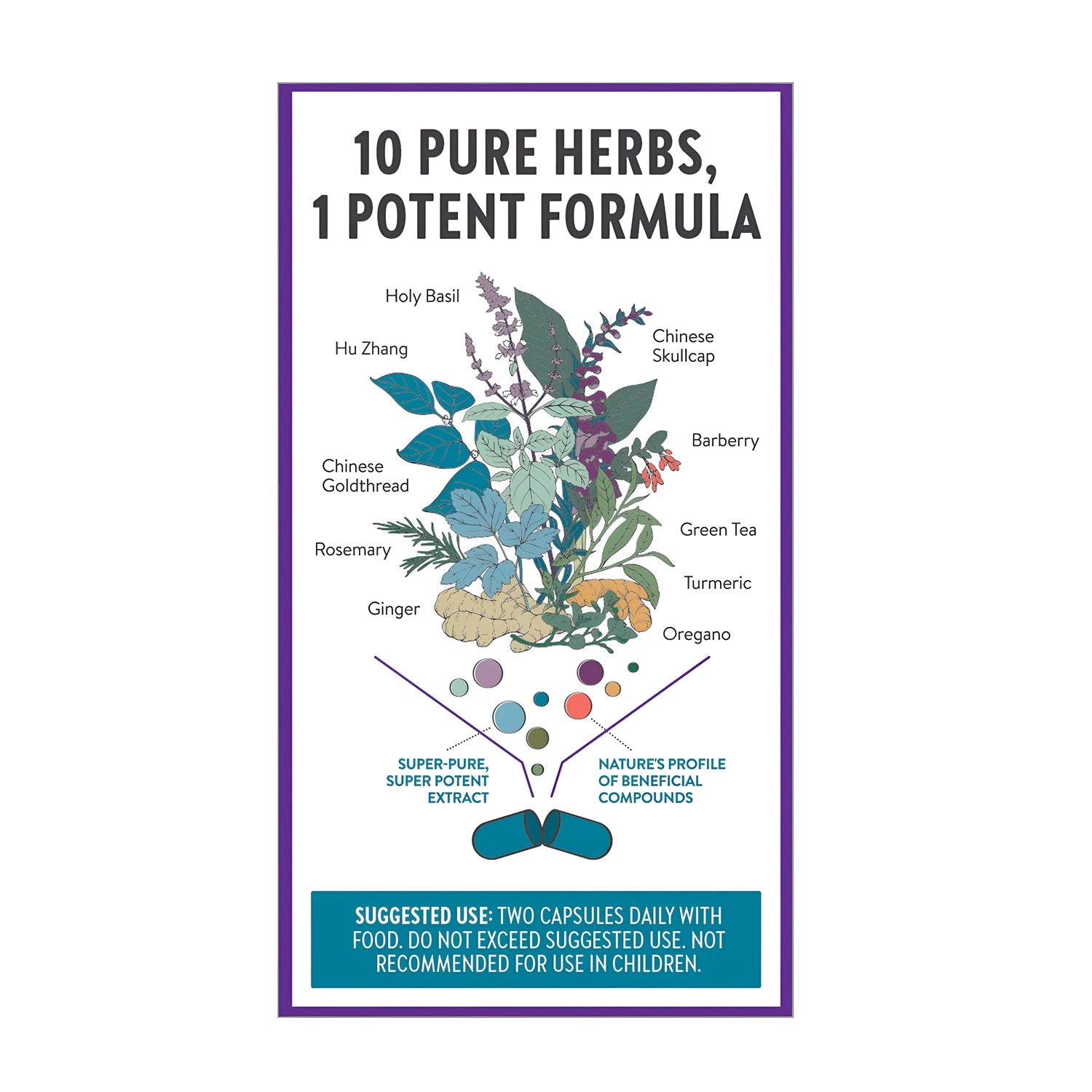 New Chapter Zyflamend Herbal 180 Vegetarian Capsules – ShopLineUSA