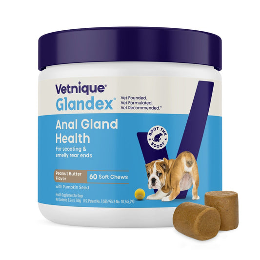 Vetnique Glandex Anal Gland Support for Dogs 60 Soft Chews