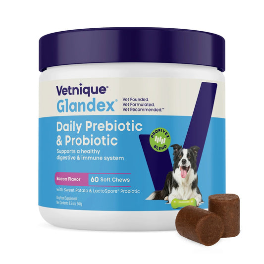 Vetnique Glandex Daily Prebiotic & Probiotic for Dogs 60 Chews